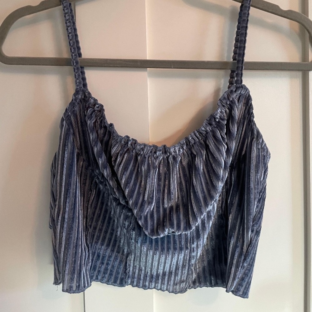 Blue velvet crop top